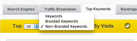 BringShare Top Keywords breakdown by branded or nonbranded
