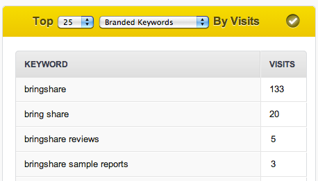 Top Branded Keywords by visits