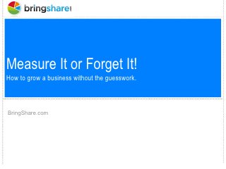 Measure It or Forget It!
How to grow a business without the guesswork.
BringShare.com
 